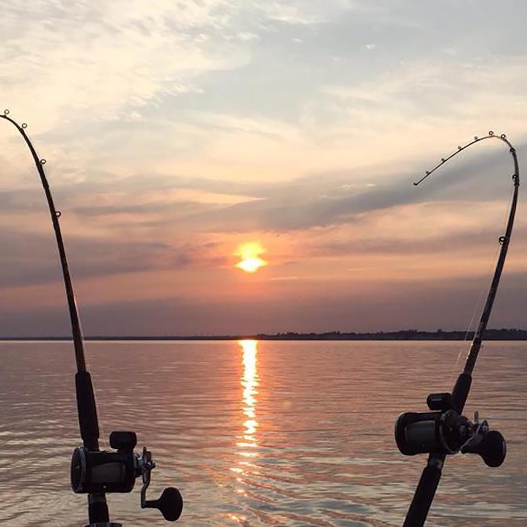 Sport anglers from all over the world come to Clarington each year in search of trophy trout or salmon. Anglers can catch salmon over 30 pounds and trout over 10 pounds in Clarington’s creeks.